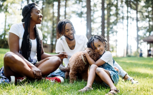 Solace Aquamation Bermuda